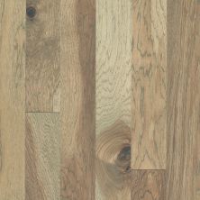 Shaw Floors Home Fn Gold Hardwood Campbell Creek Smooth Burlap 02026_HW669