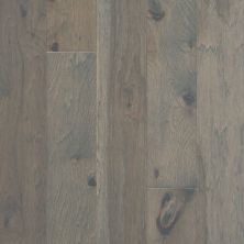 Shaw Floors Home Fn Gold Hardwood Piedmont Hickory Dogwood 05081_HW710