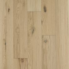Shaw Floors Home Fn Gold Hardwood Oasis Oak Fireside 06006_HW714