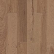 Shaw Floors Home Fn Gold Hardwood Oasis Hickory Quietude 07094_HW715