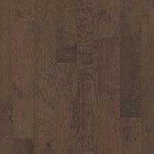 Shaw Floors Home Fn Gold Hardwood Stone Gate Reflection 07085_HW719