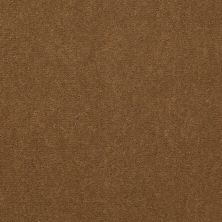 Patcraft Encore Collection Windsweptencore Pecan 00250_I0200
