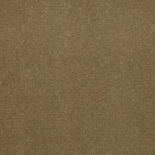 Patcraft Encore Collection Windsweptencore Sesame 00756_I0200
