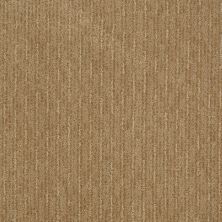 Shaw Floors St Jude Loving Cup Earth Tone 00751_JD322