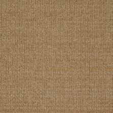 Shaw Floors St Jude Cupid’s Arrow Earth Tone 00751_JD323