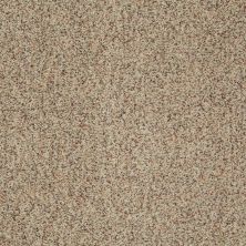 Shaw Floors St Jude Winner’s Circle (a) Lambs Wool 27135_JD329