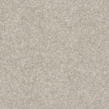 Shaw Floors Lennar Homes Norwick Oatmeal 00100_LR120