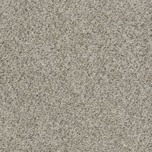Shaw Floors Lennar Homes Norwick Silversmith 00730_LR120