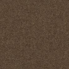 Shaw Floors Lennar Homes Lisburry Isle Toffee 00753_LR140