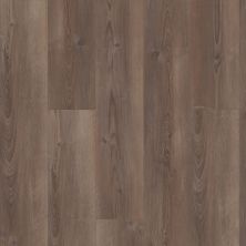 Shaw Floors Lennar Homes Providence Plus 7″ Ripped Pine 07047_LR854
