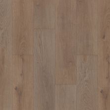 Shaw Floors Lennar Homes Latham Plus Villa Oak 01090_LR868