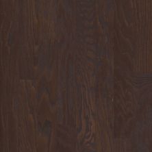 Shaw Floors Lennar Homes Longmont II 3.25 Chocolate 07011_LR955