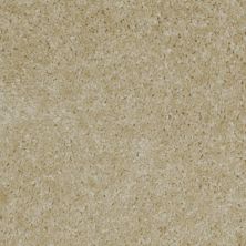 Shaw Floors Property Solutions Jetliner Toasted Coconut 00108_HF742