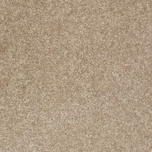 Shaw Floors SFA TUSCAN VALLEY Soft Suede 00706_52E29