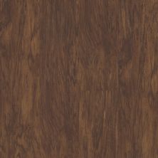 Shaw Floors Mattamy Homes Daisetta Plus Sepia Oak 00634_M405H