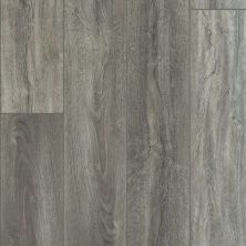 Shaw Floors Mattamy Homes El Centro Plus Giardino 05049_M410H