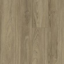 Shaw Floors Mattamy Homes El Centro Plus Capri 07048_M410H