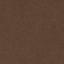 Shaw Floors SFA Timeless Appeal I 12′ Pine Cone 00703_Q4310