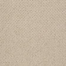 Shaw Floors Truly Relaxed Loop Clay Stone 00108_E0657
