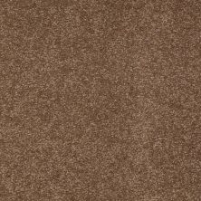 Shaw Floors Shaw Design Center Sweet Valley III 12′ Pine Cone 00703_QC424