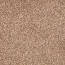 Shaw Floors SFA Timeless Appeal I 15′ Muffin 00700_Q4311