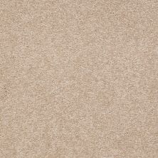 Shaw Floors Couture’ Collection ULTIMATE EXPRESSION 12′ Adobe 00108_19698