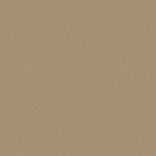 Shaw Floors Couture’ Collection Ultimate Expression 12′ Stucco 00110_19698
