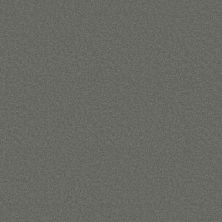 Shaw Floors Ultimate Expression 12′ Slate 00502_19698