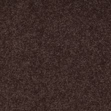 Shaw Floors Couture’ Collection Ultimate Expression 12′ Tundra 00708_19698