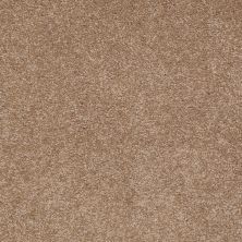 Shaw Floors Couture’ Collection ULTIMATE EXPRESSION 15′ Mojave 00301_19829