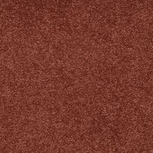 Shaw Floors Couture’ Collection Ultimate Expression 15′ Spanish Tile 00601_19829