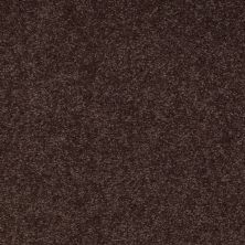 Shaw Floors Couture’ Collection Ultimate Expression 15′ Tundra 00708_19829