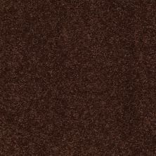 Shaw Floors Couture’ Collection ULTIMATE EXPRESSION 15′ Coffee Bean 00711_19829