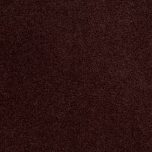 Shaw Floors Sandy Hollow Classic Iv 15′ Rouge Red 00820_E0555