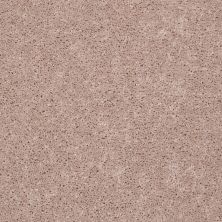 Shaw Floors Value Collections Full Court Net Flax Seed 00103_E0713