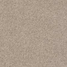 Shaw Floors Value Collections Cabana Bay Solid Net Shifting Sand 00105_5E002