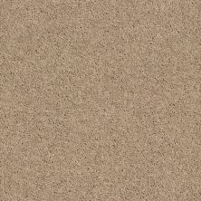 Shaw Floors Property Solutions Specified Presidio Solid Camel 00107_PZ025
