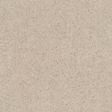Shaw Floors Value Collections Cabana Bay Solid Net Sugar Cookie 00122_5E002