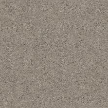 Shaw Floors Value Collections Cabana Bay Solid Net Perfect Taupe 00715_5E002