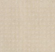 Shaw Floors Value Collections Alluring Disposition Net Barista 00191_E9777