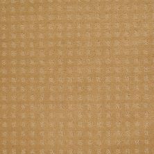 Shaw Floors Shaw Floor Studio Style With Ease Wheat 00201_FS150