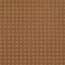 Shaw Floors Shaw Floor Studio Style With Ease Gold Coin 00202_FS150