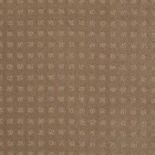 Shaw Floors Shaw Floor Studio Style With Ease Perfect Beige 00703_FS150