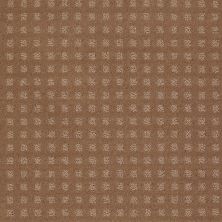 Shaw Floors Shaw Flooring Gallery MADE TO BE YOURS Townhouse Taupe 00705_5282G