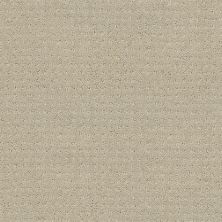 Shaw Floors Shaw Flooring Gallery Inspired By Pattern Textured Canvas 00150_5563G