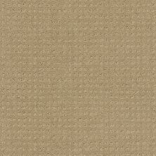 Shaw Floors ENDURING COMFORT PATTERN Clay Stone 00108_E0404
