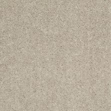 Shaw Floors Roll Special Xv375 Misty Taupe 00105_XV375