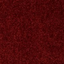 Shaw Floors Roll Special Xv863 Red Wine 00801_XV863