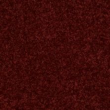 Shaw Floors Roll Special Xv375 Red Rock 00821_XV375