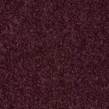 Shaw Floors FIELDER’S CHOICE 12′ Royal Purple 00902_52Y70